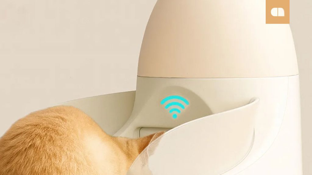 годівниця для котів