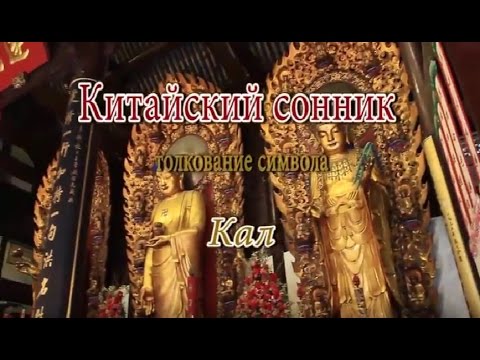 К Чему Снится Кал Женщине: Толкования и Значение Сновидения