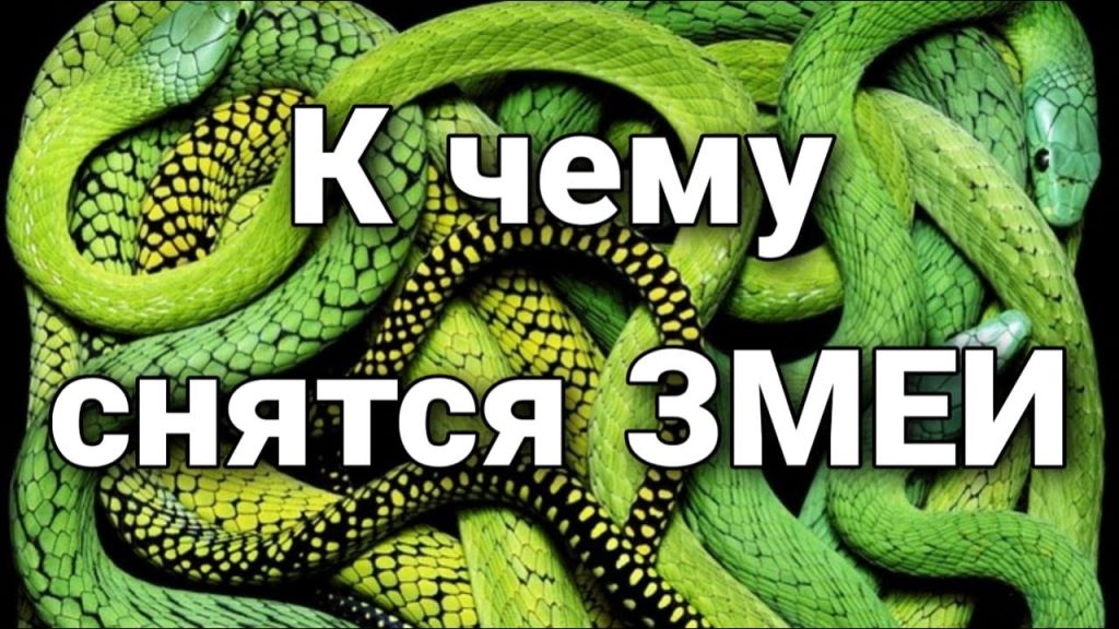 К Чему Снится Змея: Значение и Символика Сновидения