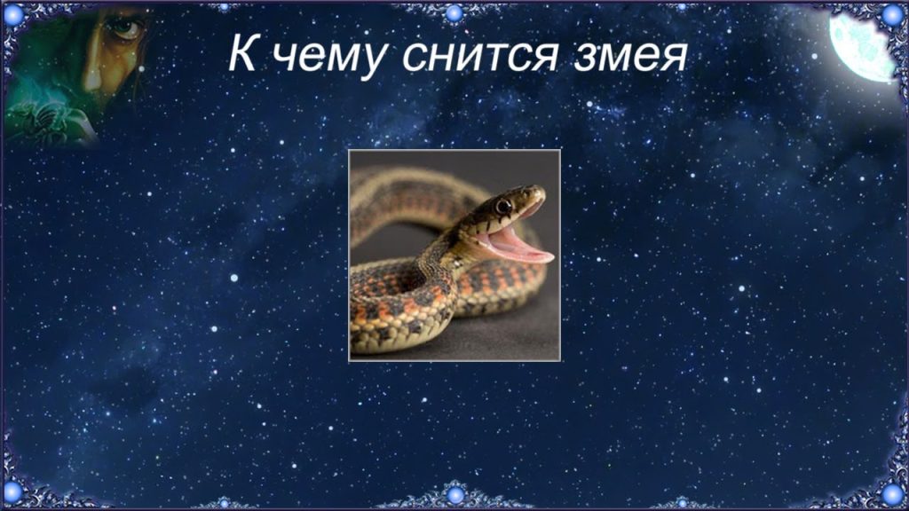 К Чему Снится Змея: Значение и Символика Сновидения
