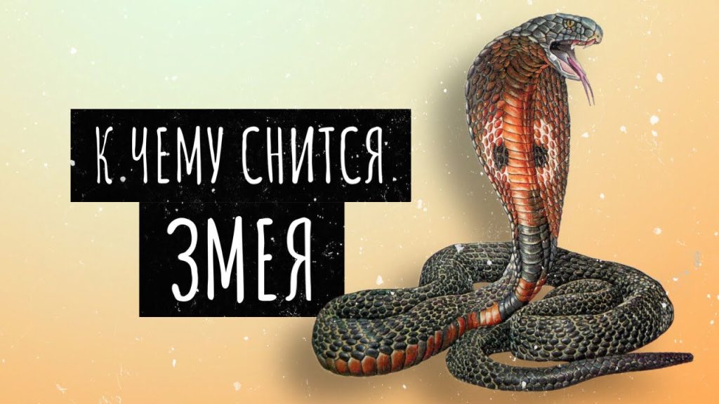 К Чему Снится Змея: Значение и Символика Сновидения