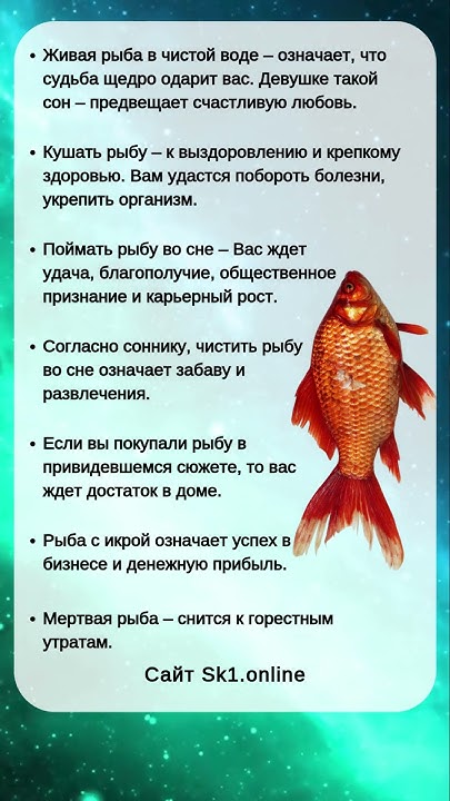 К Чему Снится Рыба: значение сна и толкования