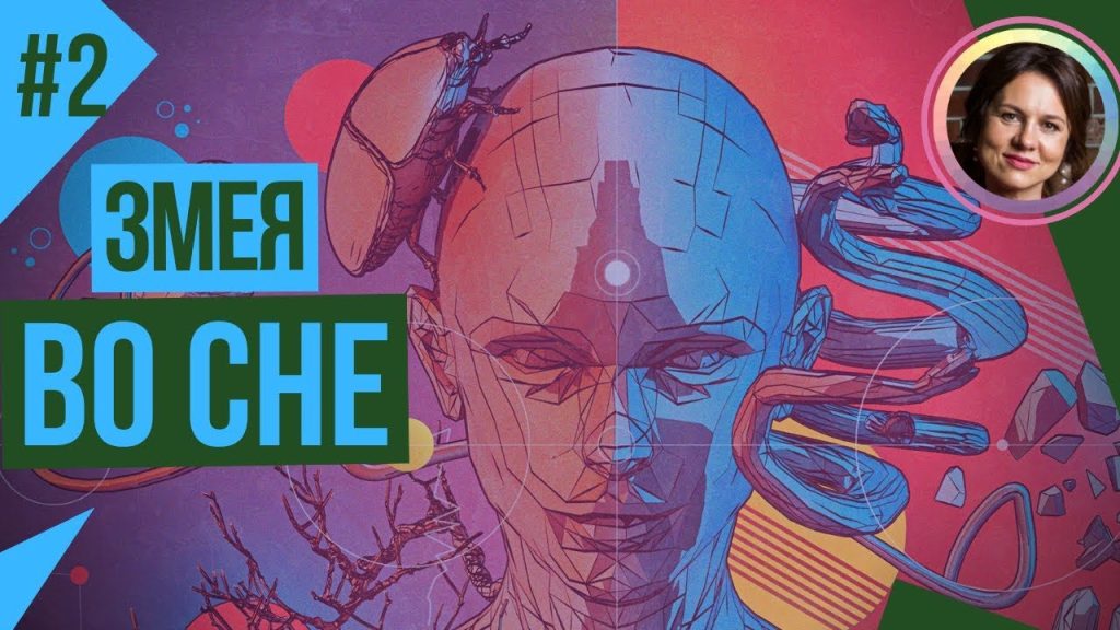 К Чему Снится Змея: Значение и Символика Сновидения