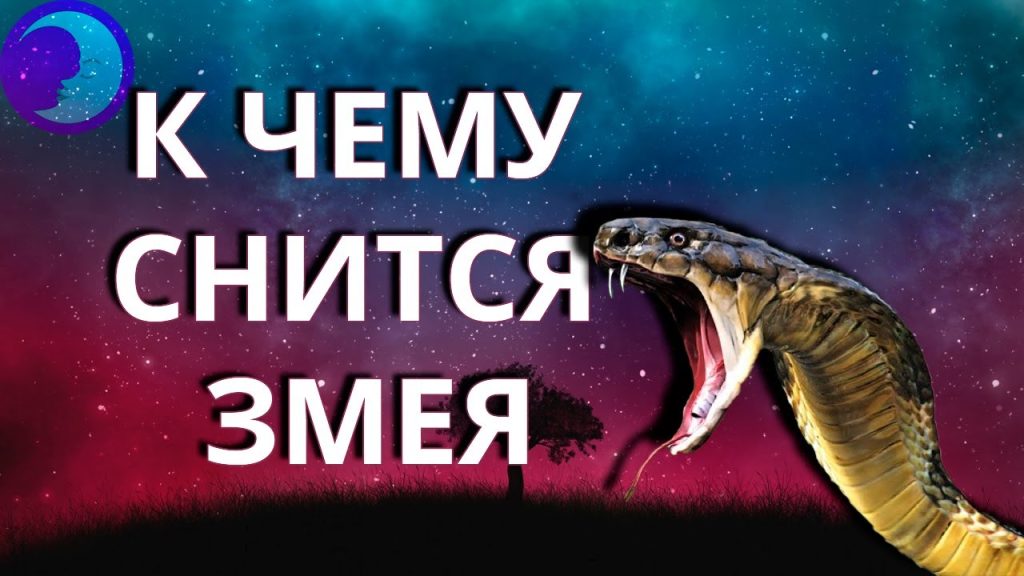 К Чему Снится Змея: Значение и Символика Сновидения