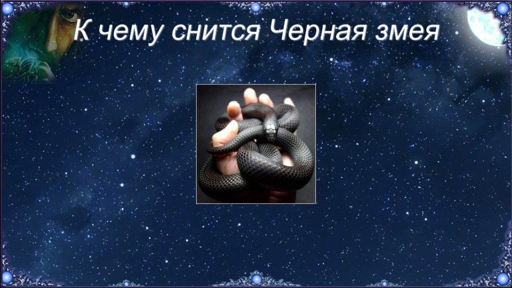 К Чему Снится Змея: Значение и Символика Сновидения