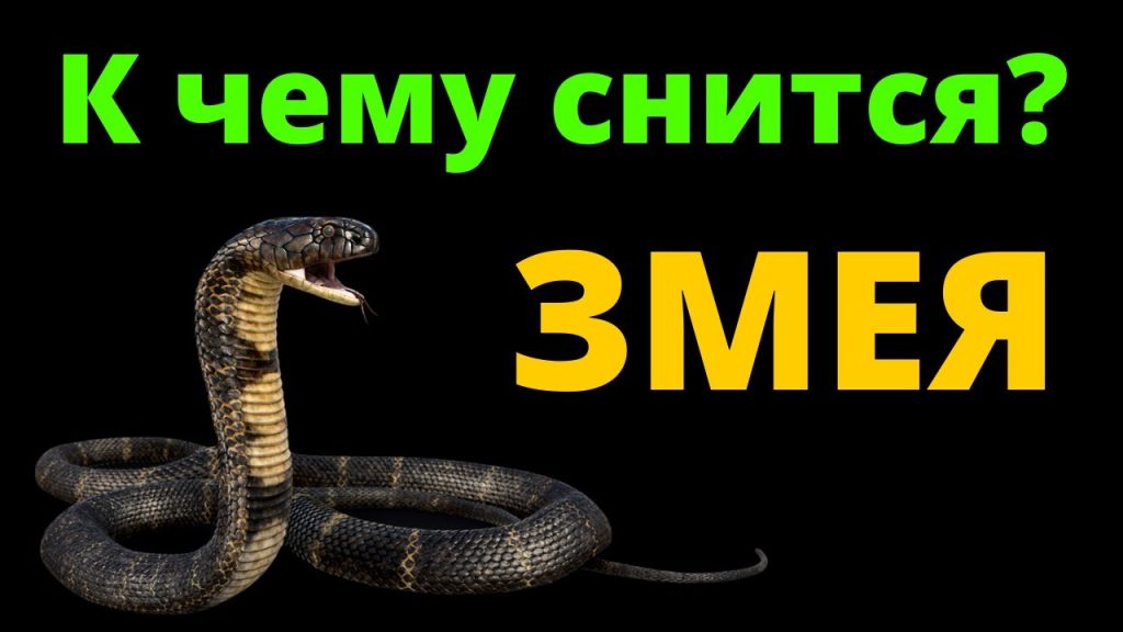 К Чему Снится Змея: Значение и Символика Сновидения