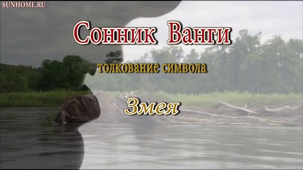 К Чему Снится Змея: Значение и Символика Сновидения